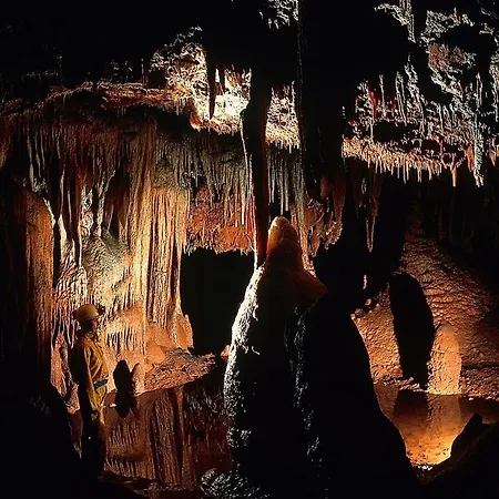 Bungalow Porec Casa de Férias Poreč