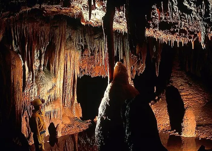 Bungalow Porec Дом отдыха Пореч